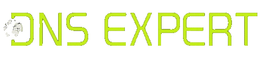 DNS Expert Logo